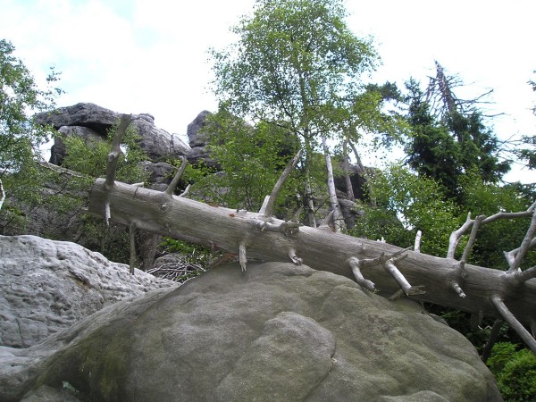 Szczeliniec11.jpg