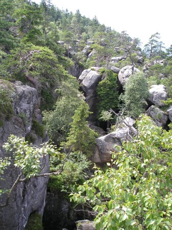 Szczeliniec53.jpg