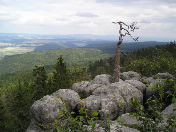 Szczeliniec55.jpg
