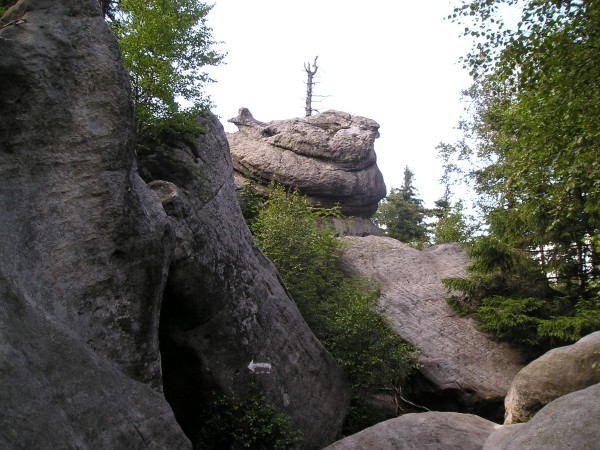 Szczeliniec57.jpg