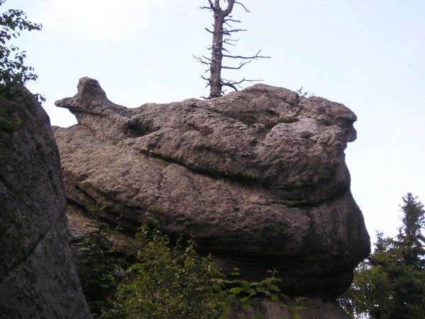 Szczeliniec58.jpg
