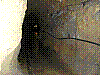 tg9.jpg