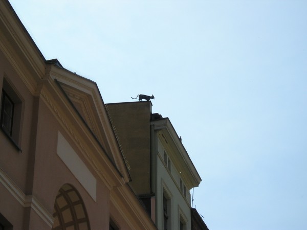 Torun38.jpg