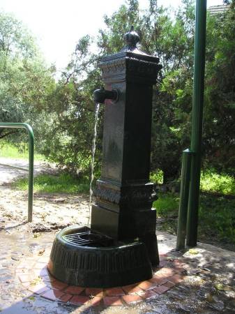 Wg95.jpg
