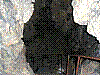 w11.jpg