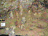 w13.jpg