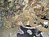 w14.jpg
