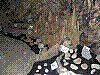w15.jpg