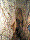 w18.jpg