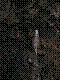w19.jpg