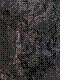 w21.jpg