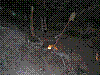 w39.jpg