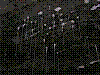 w42.jpg