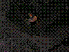 w49.jpg