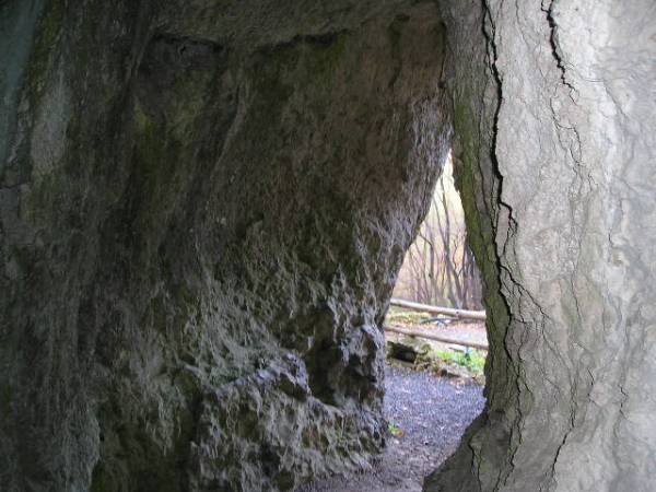 w1.jpg