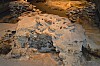 DSC_0043.jpg