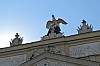 DSC_0117.jpg