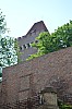 DSC_0119.jpg