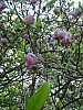 P1011000.jpg