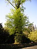 P1011001.jpg