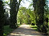 P1011004.jpg