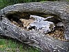 P1011006.jpg
