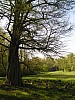 P1011008.jpg