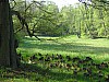 P1011009.jpg