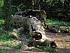 P1011011.jpg
