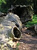 P1011012.jpg