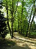 P1011014.jpg