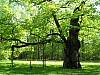 P1011034.jpg