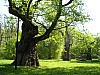 P1011036.jpg