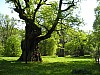 P1011037.jpg