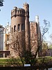 P5010059.jpg
