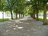 P5010081.jpg