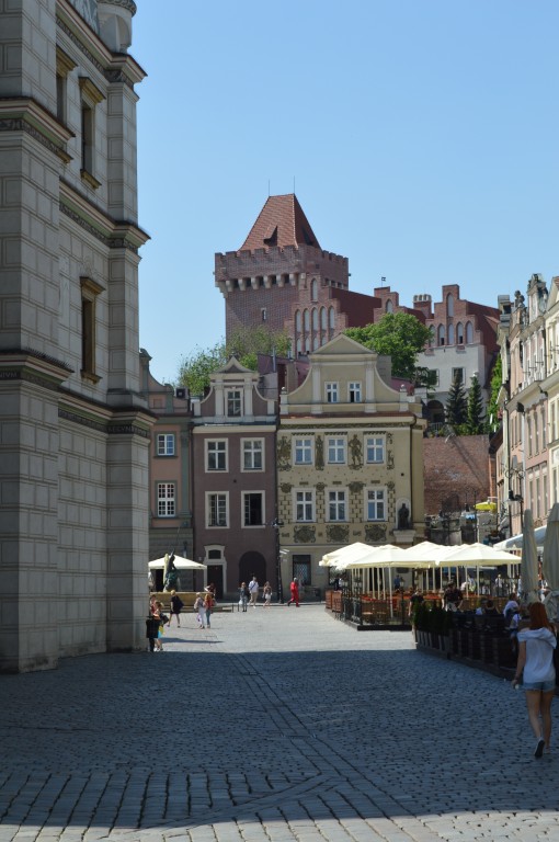 DSC_0069.jpg