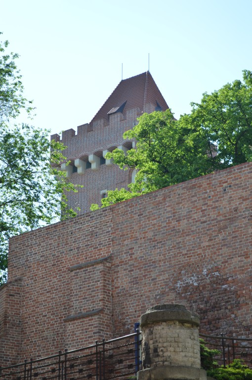 DSC_0119.jpg