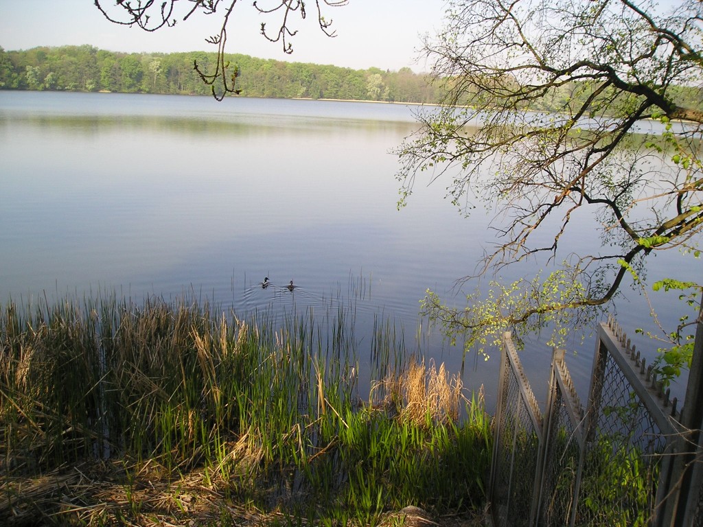 P1010989.jpg