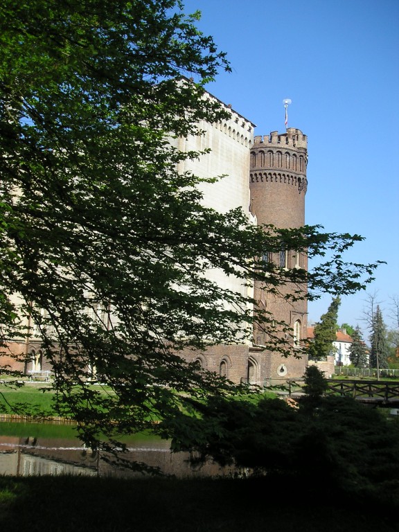 P1010999.jpg
