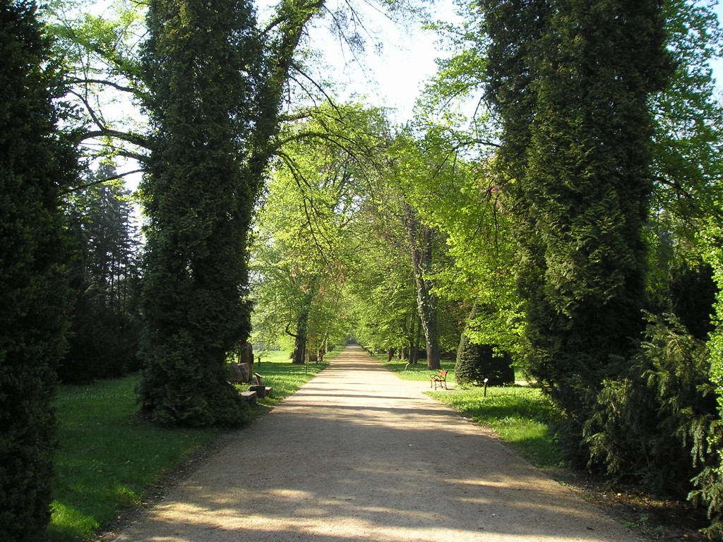 P1011004.jpg