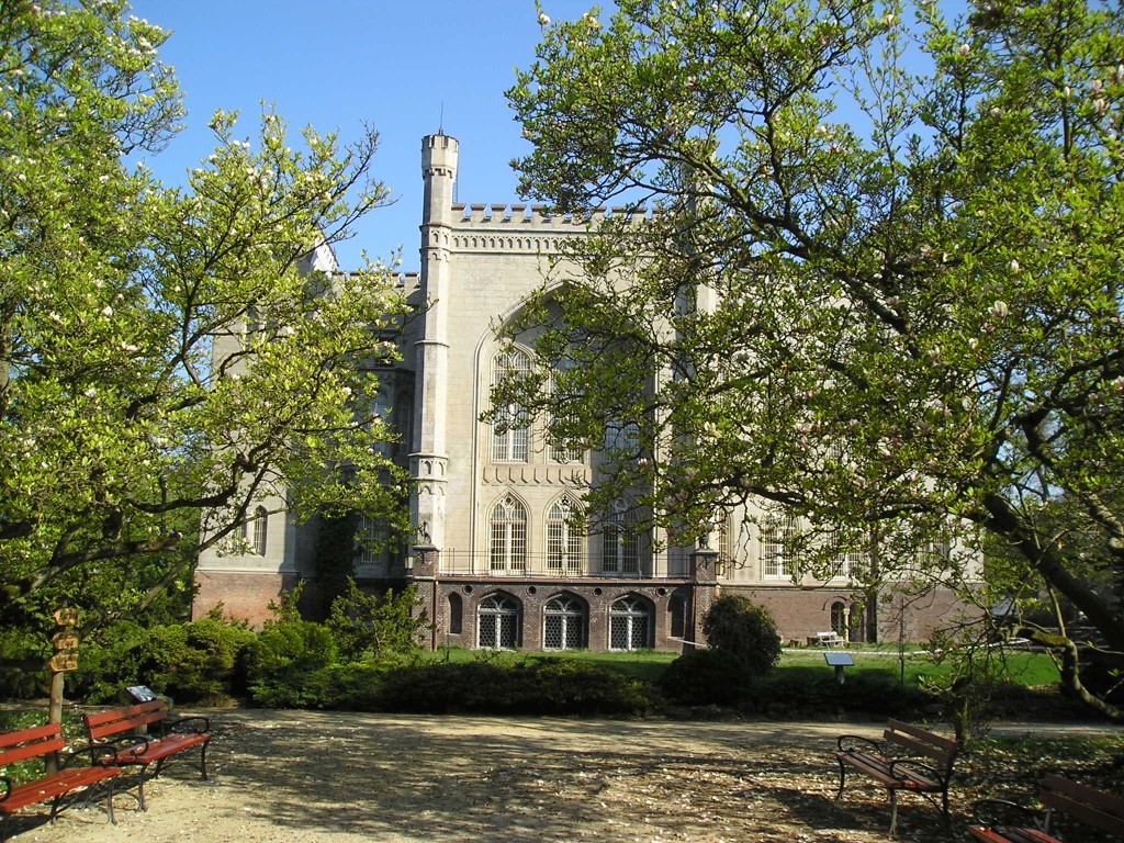 P1011005.jpg