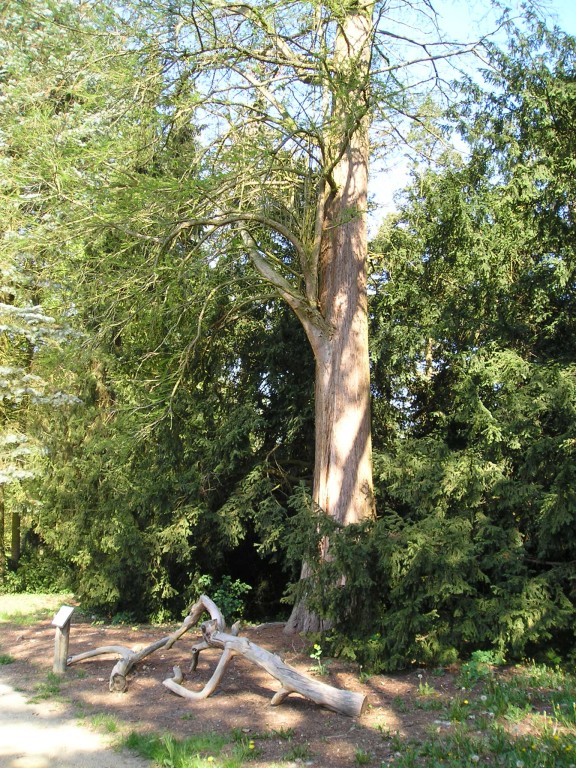 P1011007.jpg