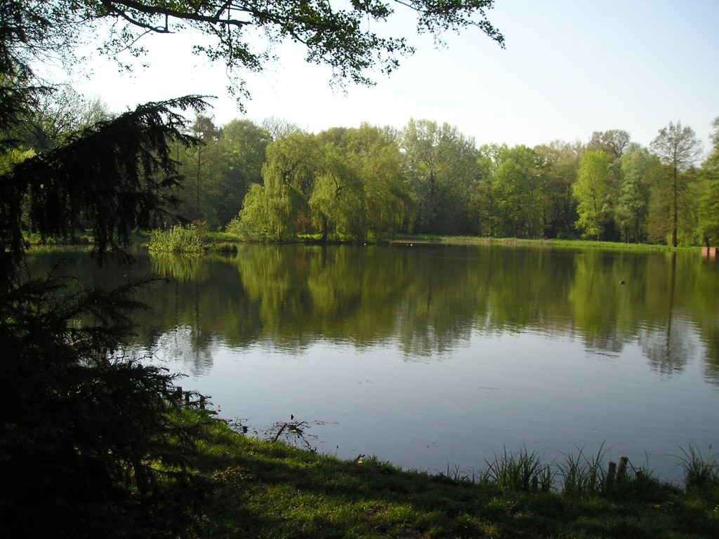 P1011010.jpg