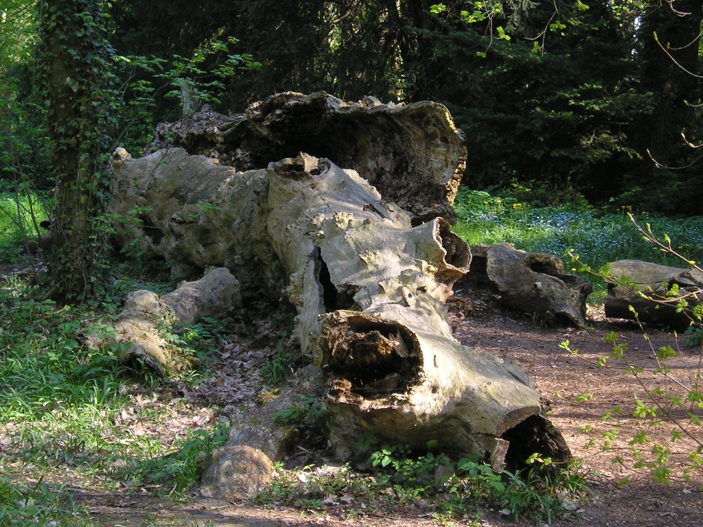 P1011011.jpg