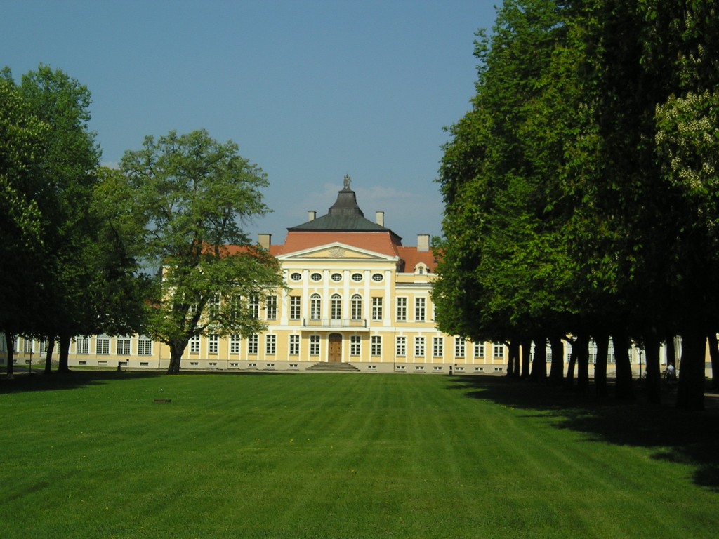 P1011022.jpg