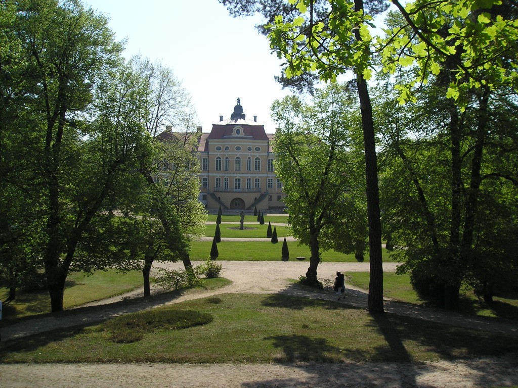 P1011031.jpg