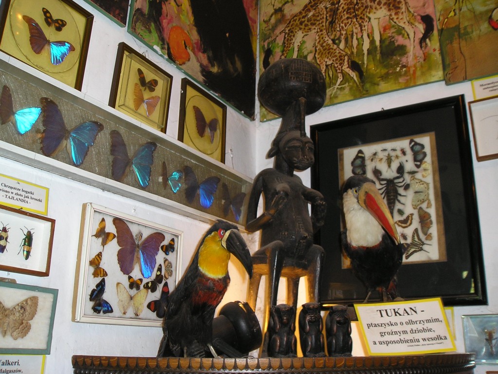 P1011045.jpg