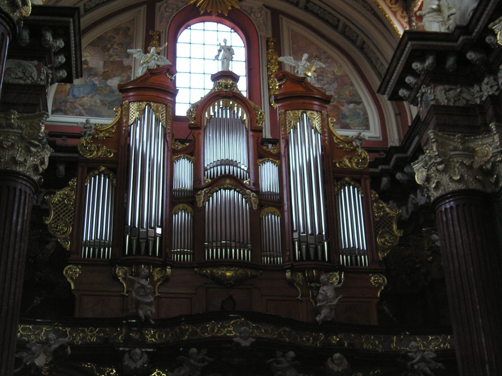 P1011097.jpg