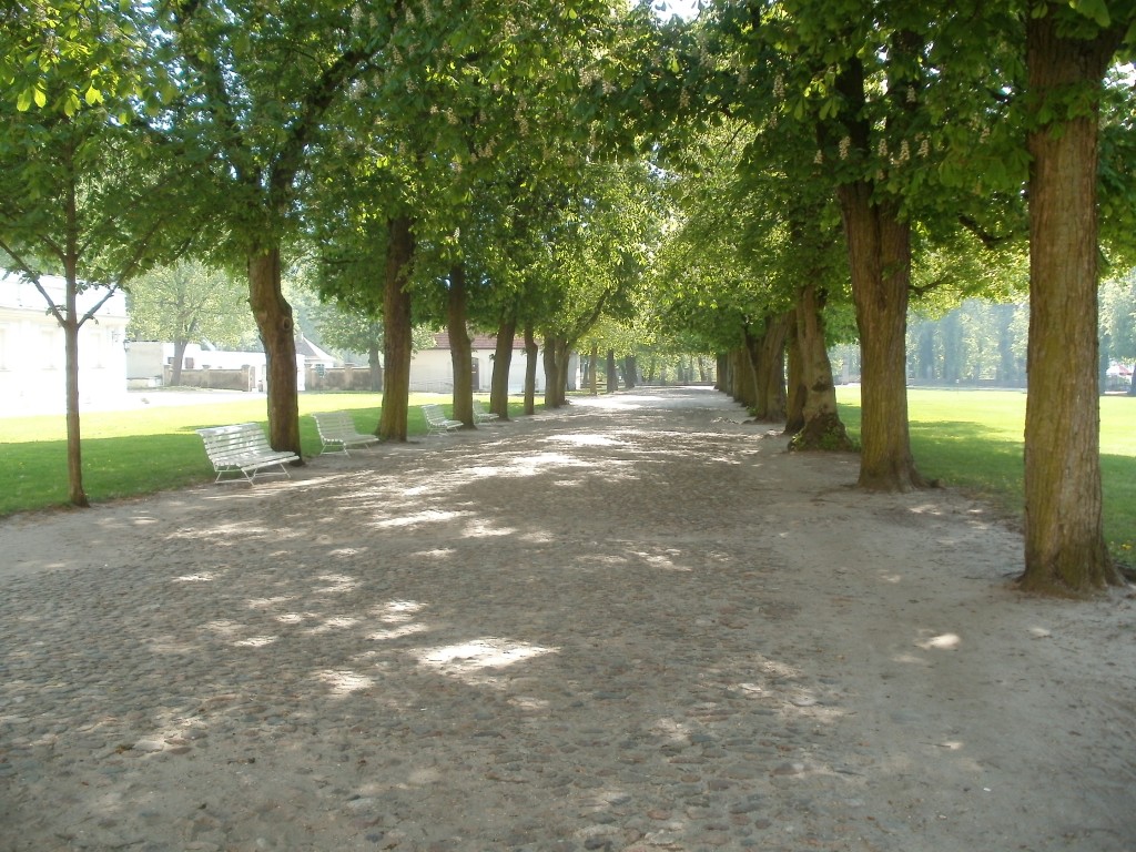 P5010081.jpg